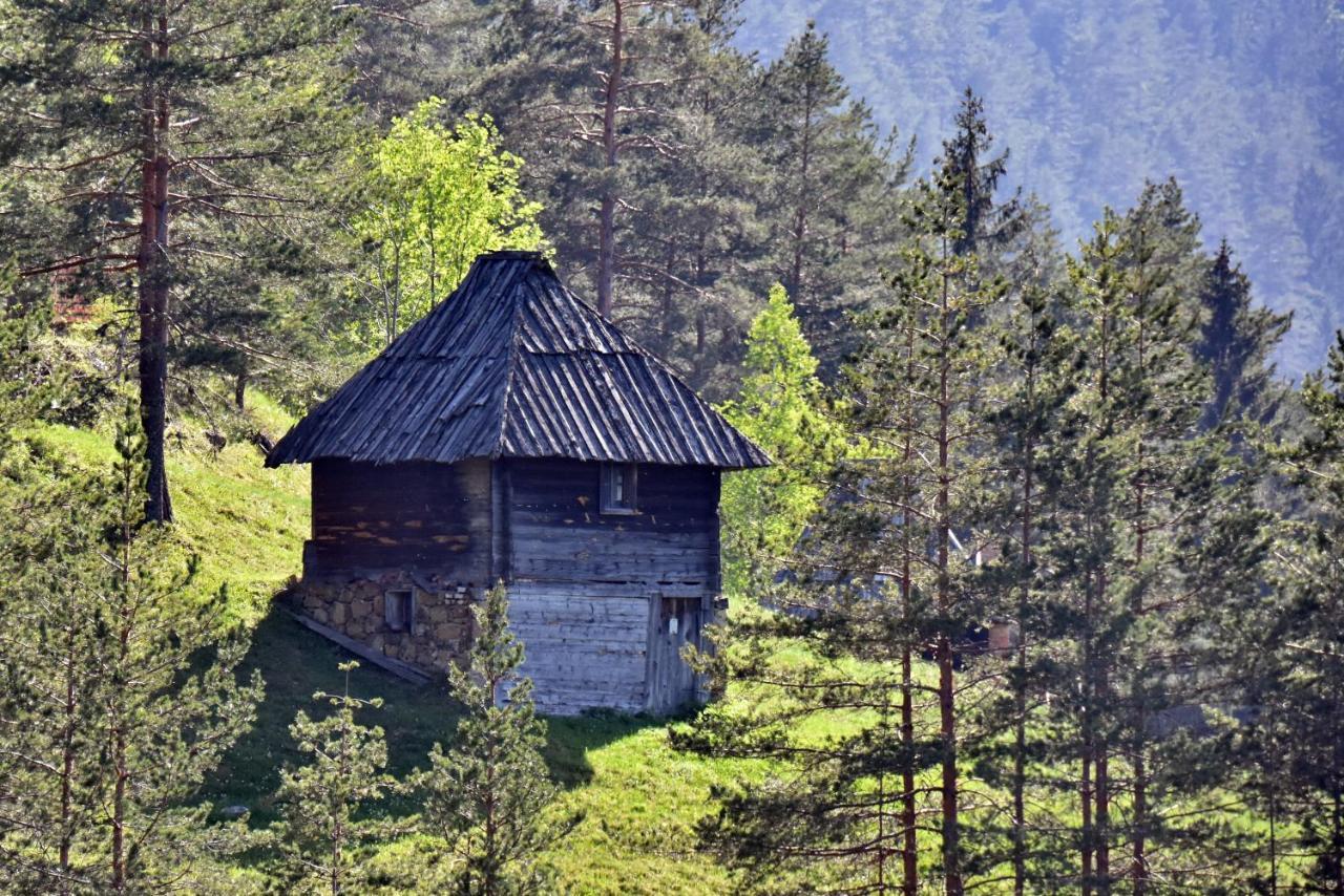 Sedmica Zlatibor Vip Bogic Apartman Kültér fotó